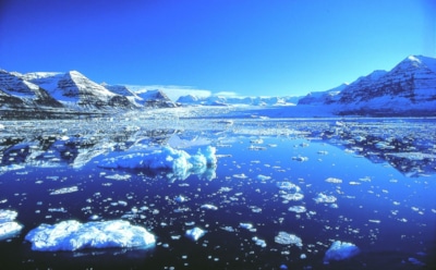 Глобальное потепление позволяет абсорбировать из воздуха вредные отходы