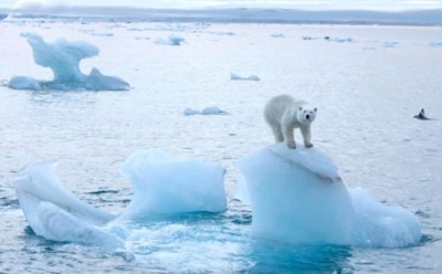 Ученые НАСА нашли причину загадочного таяния антарктических льдов