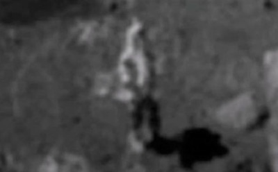 Найдено новое «доказательство» фальсификации полета американцев на Луну