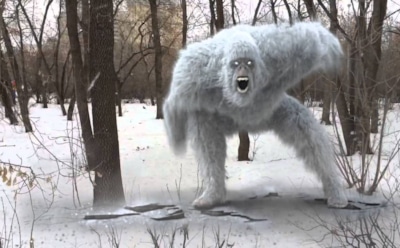 Ученые обнародовали результаты анализа ДНК йети