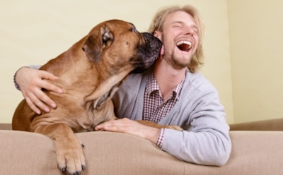 Ученые выяснили, как управлять собаками при помощи улыбки