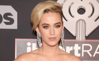 Бюст певицы Кэти Перри украсило русское матерное слово