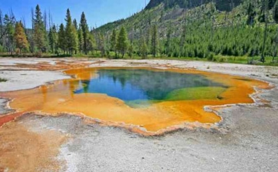 Ученые: на дне вулкана Йеллоустоун обнаружены живые организмы