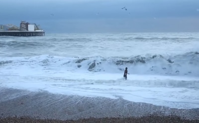 В Британии женщина рискнула жизнью ради собаки
