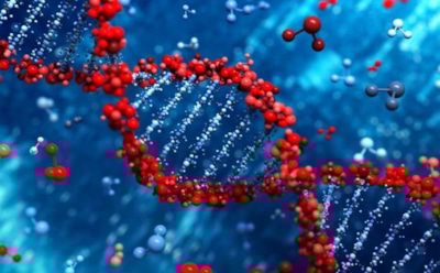 Ученые нашли главную причину появления человека