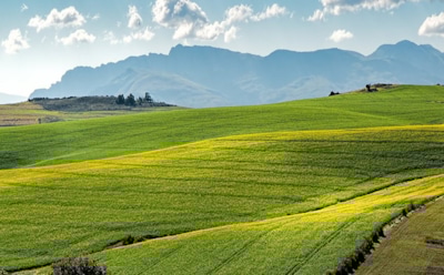 В рамках «дальневосточного гектара» москвич взял остров для квестов