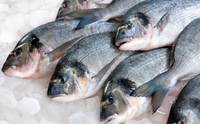 Ученые: употребление рыбы влияет на интеллект детей