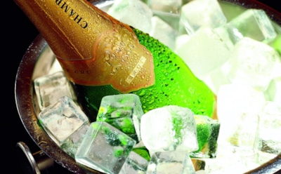 Елена Малышева рассказала, как избавиться от похмелья