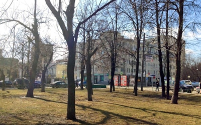 Погода в Москве на Рождество побьет абсолютный максимум