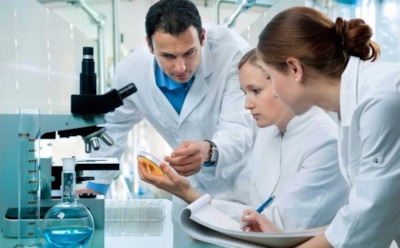 Ученые: комариный укус может убить ребенка в утробе матери