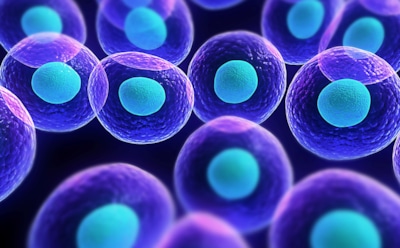 Ученые доказали факт появления клеток из неживых компонентов