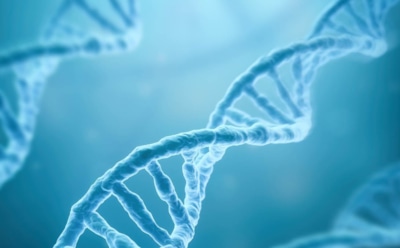 Ученые: фастфуд провоцирует «​медленный»​ рак