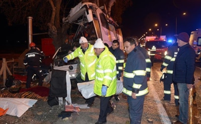 В Турции из-за животного разбился туристический автобус с детьми