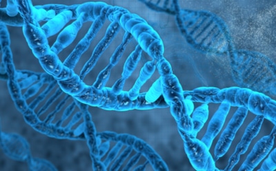 Ученые нашли ген, отвечающий за развитие паранойи