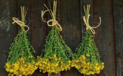 Ученые: лечение народными средствами может убить человека