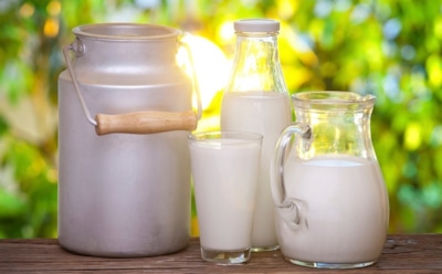 Ученые опровергли пользу молока для костей