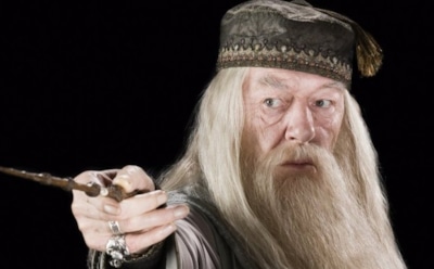 Режиссер «Фантастических тварей» рассказал об ориентации Дамблдора