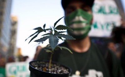 Полиция Германии считает запрет марихуаны неоправданным