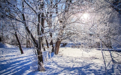Погода в Москве: ночь на 8 февраля стала самой холодной с начала зимы
