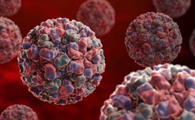 На Олимпийских играх 139 человек заразились норовирусом