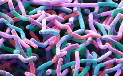 В США ученые извлекают из-под земли новые антибиотики