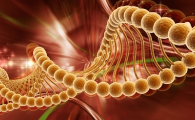 Ученые нашли у женщин «ген измены»