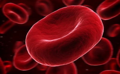 Ученые: омоложение крови поможет улучшить память