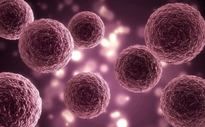 Ученые из США рассказали о лекарстве против метастазов