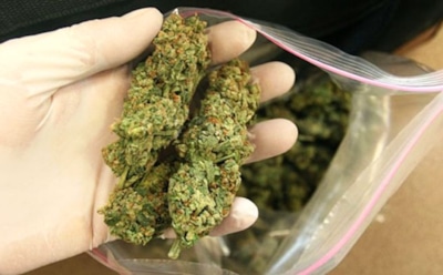 В Греции на борту судна нашли тонну конопли