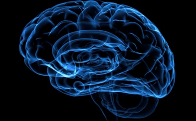 Ученые рассказали о влиянии на мозг многозадачности