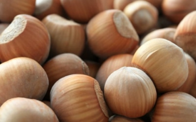 Ученые: миндаль и фундук спасут от рака