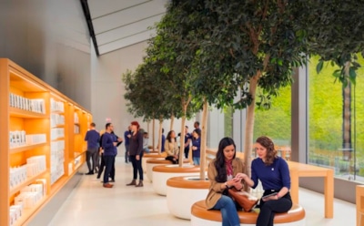 При удалении Apple ID пользователям угрожает публикация личных данных