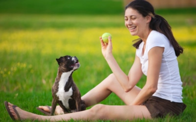 Названо лучшее успокоительное для студентов