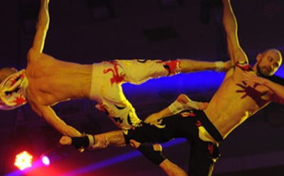 Скончался упавший с высоты акробат цирка Запашного