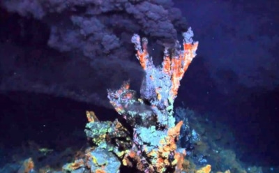 В Нидерландах ученые создали новую форму жизни