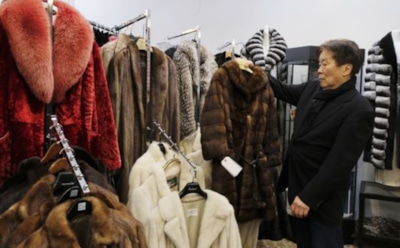 СМИ: в Сан-Франциско введут запрет на продажу меха животных