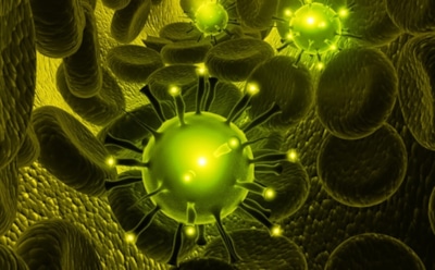 Новосибирские ученые применили для борьбы с раком вирус оспы