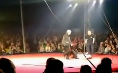 Зрители сняли на видео, как в цирке под Иркутском упал канатоходец