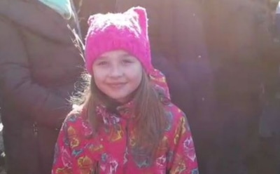 Губернатор Подмосковья заявил о поездке «девочки в розовом» в Нидерланды