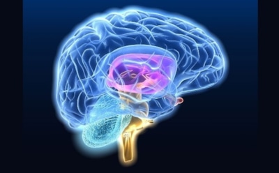 Ученые: нервные клетки мозга восстанавливаются даже в старости
