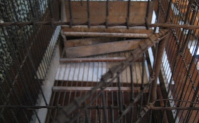 Японец продержал сына в клетке более 20 лет