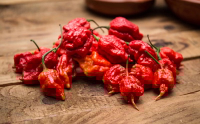 Стали известны последствия употребления самого острого перца чили