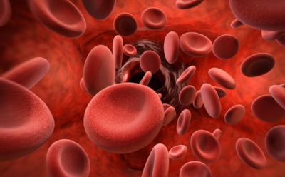 Ученые из США разработали средство от преждевременной смерти