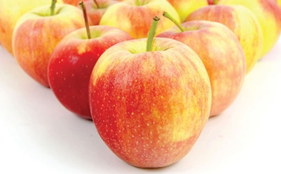 Названы 5 продуктов для эффективной работы мозга