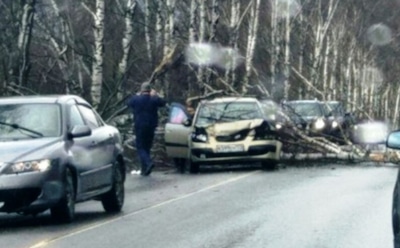 Погода в Москве: бушует ураган, есть пострадавшие