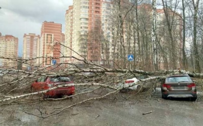 Погода в Москве: ураган унес несколько жизней