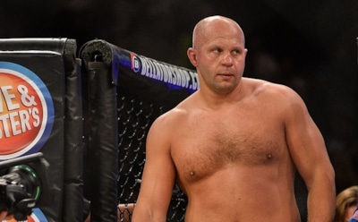 В США Емельяненко нокаутировал американского бойца