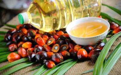 Названа главная опасность пальмового масла