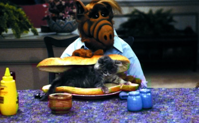 Актеры сериала "Альф": тогда и сейчас