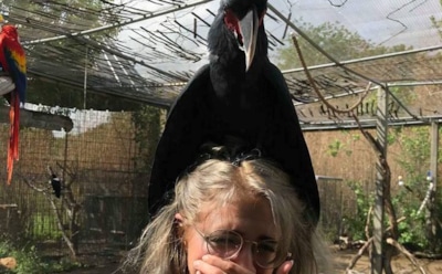 Девушке предрекли скорую смерть из-за видео с черным попугаем